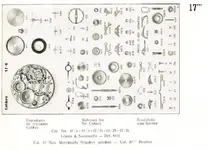 minerva17.webp