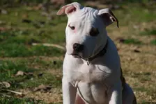 DSC_4364_zpsor2ubsto.webp DSC_4364_zpsor2ubsto.webp