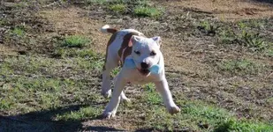 47fd8b3c-8332-4883-9b76-4c3311f24cd2_zpsmt00ewi0.webp 47fd8b3c-8332-4883-9b76-4c3311f24cd2_zpsmt00ewi0.webp