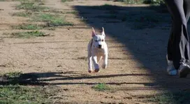 1090fbcc-55ee-416c-acd9-57cf2344f74a_zpscnxzivjc.webp 1090fbcc-55ee-416c-acd9-57cf2344f74a_zpscnxzivjc.webp