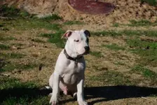 1bb12d49-ec67-4acf-995f-c7c095889792_zpshjzeuwco.webp 1bb12d49-ec67-4acf-995f-c7c095889792_zpshjzeuwco.webp