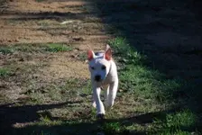 57f38c83-697a-49b9-bb2a-8f045aeba067_zpszevw0tzd.webp 57f38c83-697a-49b9-bb2a-8f045aeba067_zpszevw0tzd.webp