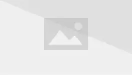 Dead_cat.webp