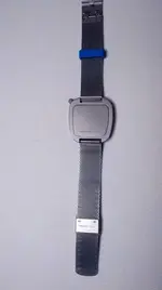 Bulbul_milanesa detrás.webp