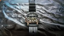 citizen1.webp