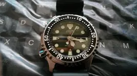 citizen2.webp