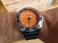 P1000324.webp