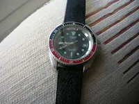 DSCN3113.webp