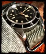 MyTudorBBN3.webp