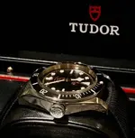 MyTudorBBN2.webp