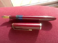 Desconocida (2).webp