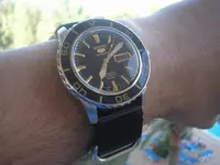 P1010006.webp
