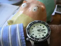 p1070842.webp