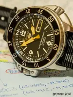 P3061544_1280.webp