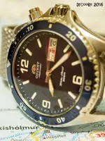 P3061540_1280.webp