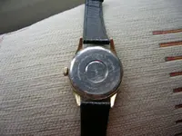 DSCN3160.webp