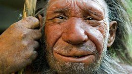 neanderthals--644x362.jpg