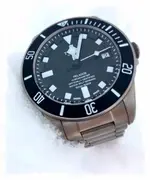 myTudorPelagos03.webp