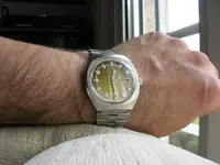 DSCN3268.webp
