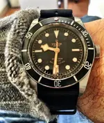MyTudorBB13.webp
