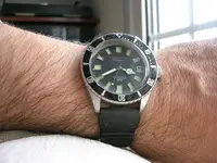 DSCN3323.webp