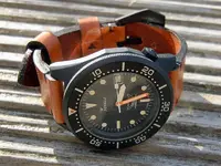 squale2.webp