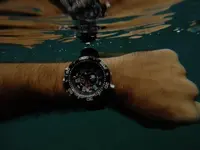 11218691_10153680129344919_7109919330964502895_n.webp