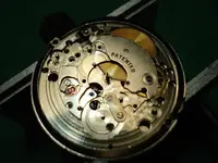 DSC00274.webp