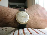 DSCN3331.webp DSCN3331.webp