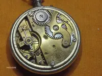 HPIM8380.webp HPIM8380.webp