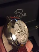 Jaguar de perfil gordo.webp
