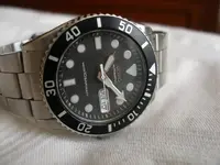 P3130756.webp