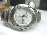PB260010.webp