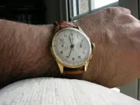 DSCN3235.webp