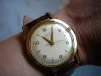Tissot bumper.webp