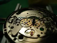 DSC00289.webp