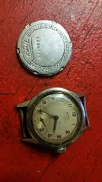 73011980_0.jpg.webp