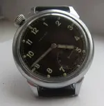 delantera.webp