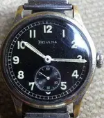 delantera.webp