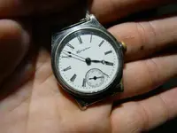 P1090761 (Large).webp
