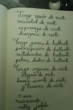 IMAG0362.webp