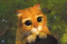 gato_con_botas.webp