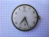 DSCN3917.webp