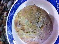 pan.webp pan.webp
