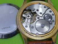 DSCN3819.webp