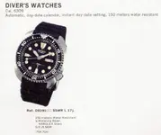 6309divers-1.webp