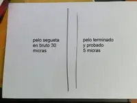 P3180228.webp P3180228.webp