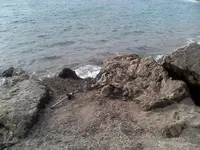 IMG_20160331_172334.webp