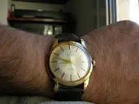 DSCN3313.webp