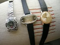 DSCN3343.webp